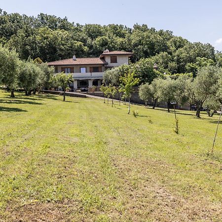 Affittacamere Cigui Múggia Exteriér fotografie