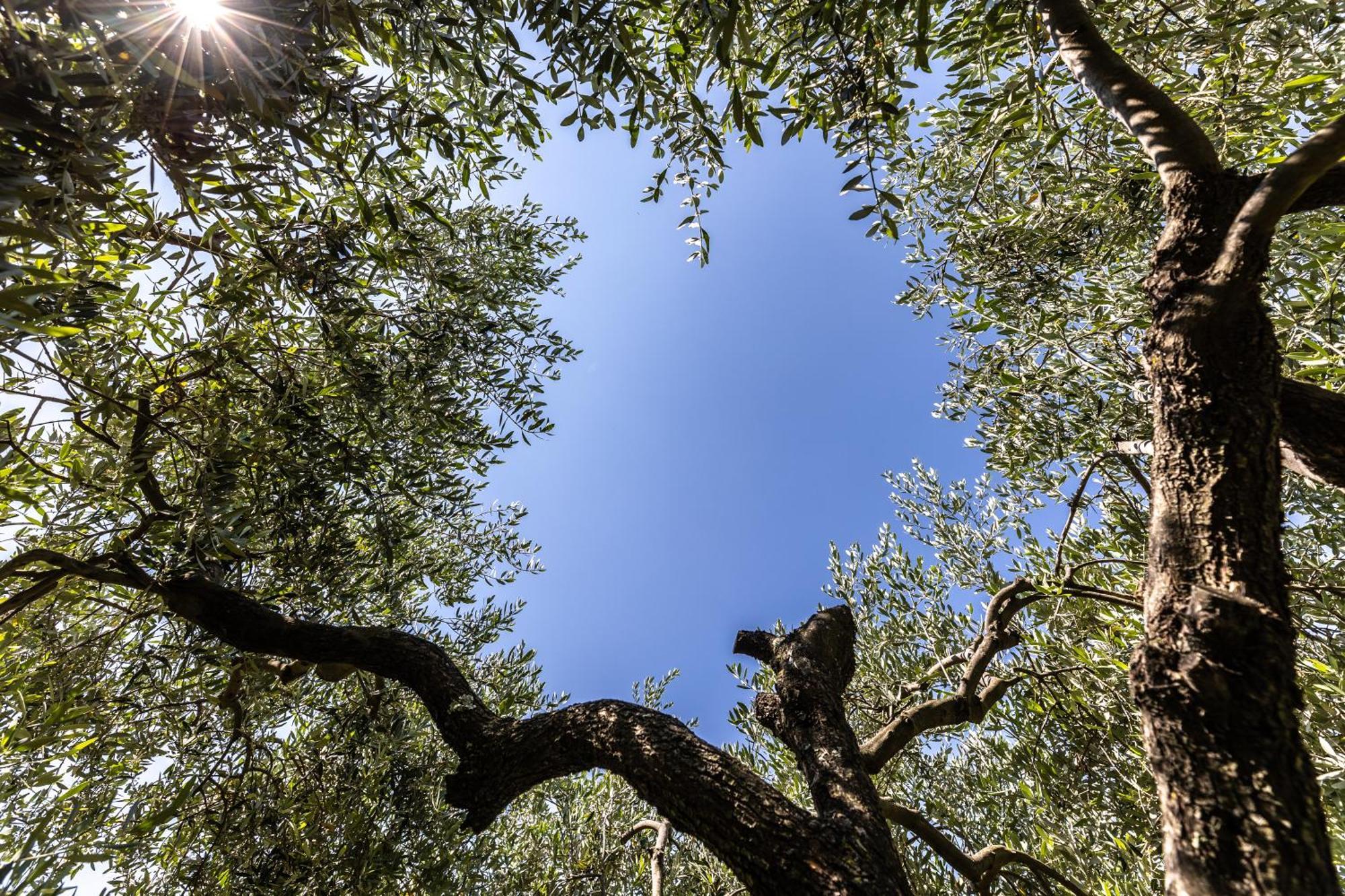 Affittacamere Cigui Múggia Exteriér fotografie