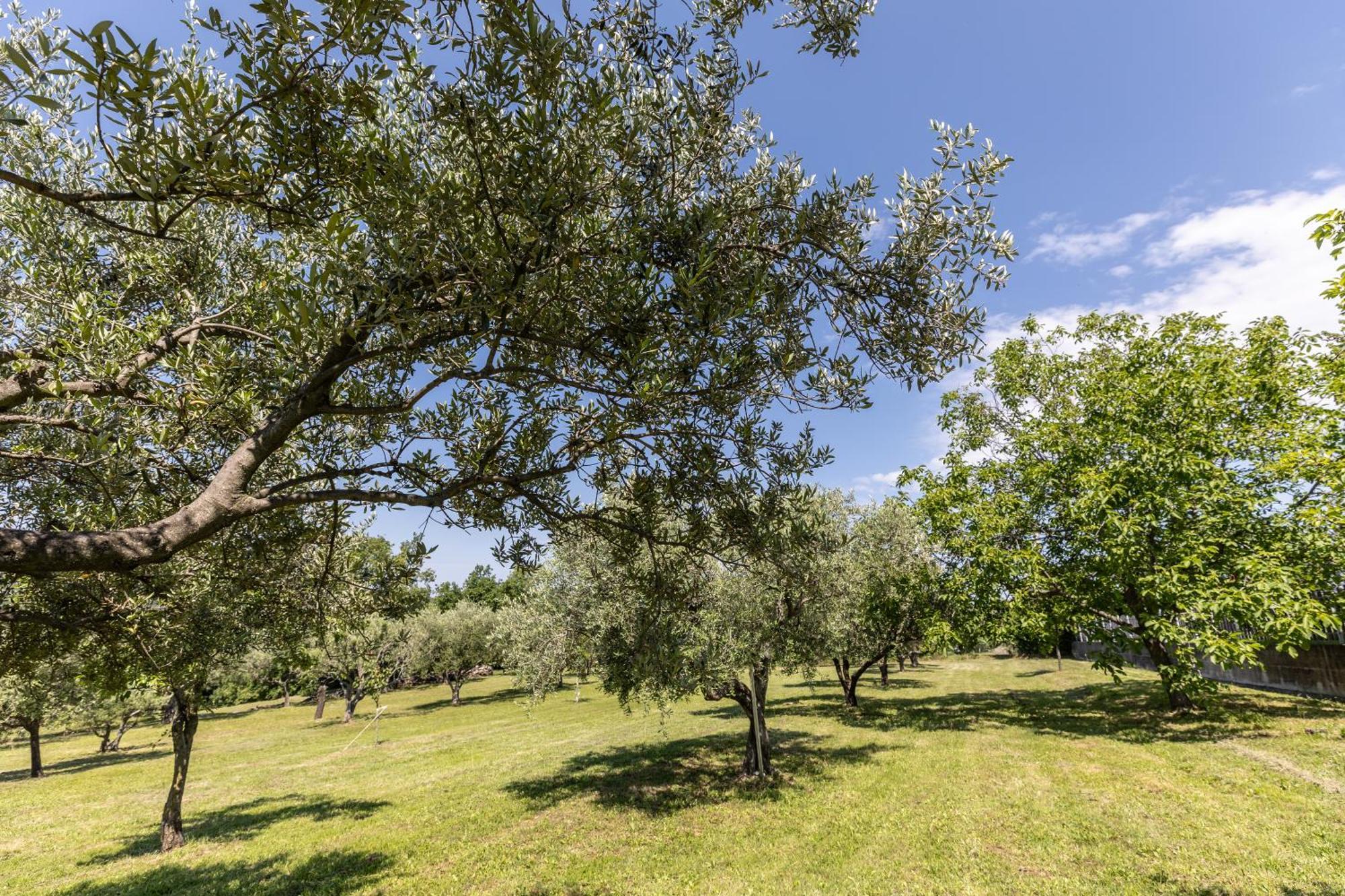 Affittacamere Cigui Múggia Exteriér fotografie