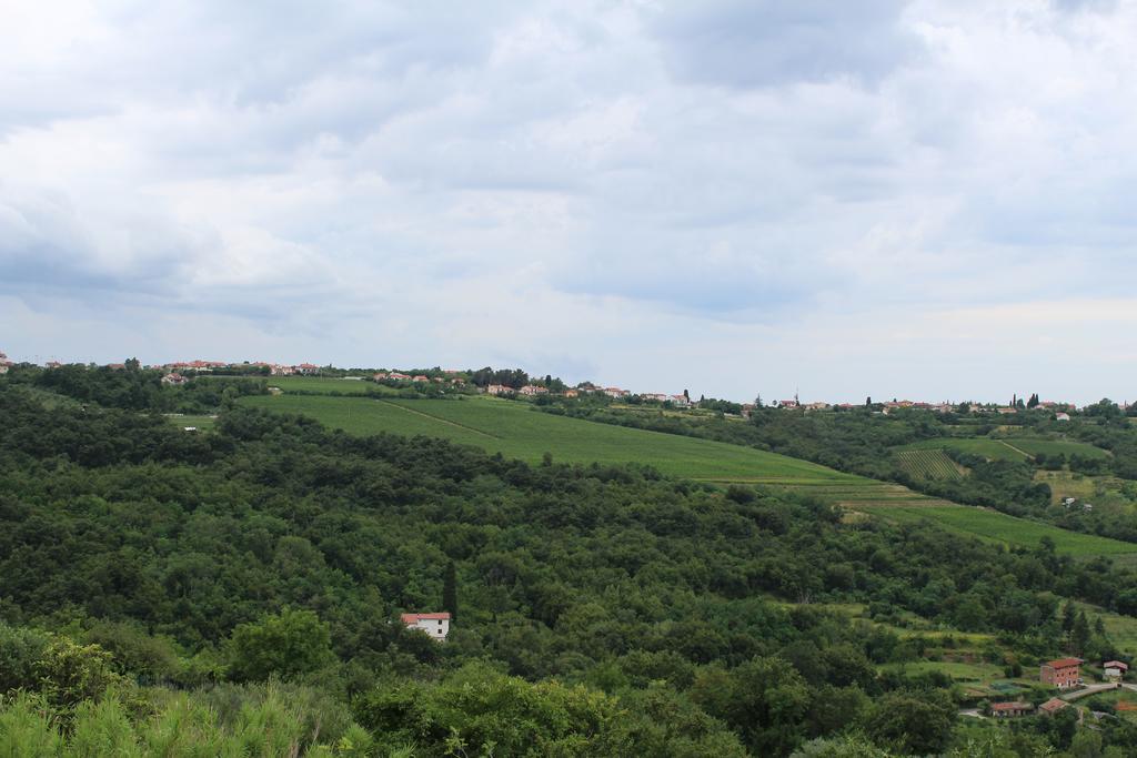 Affittacamere Cigui Múggia Exteriér fotografie